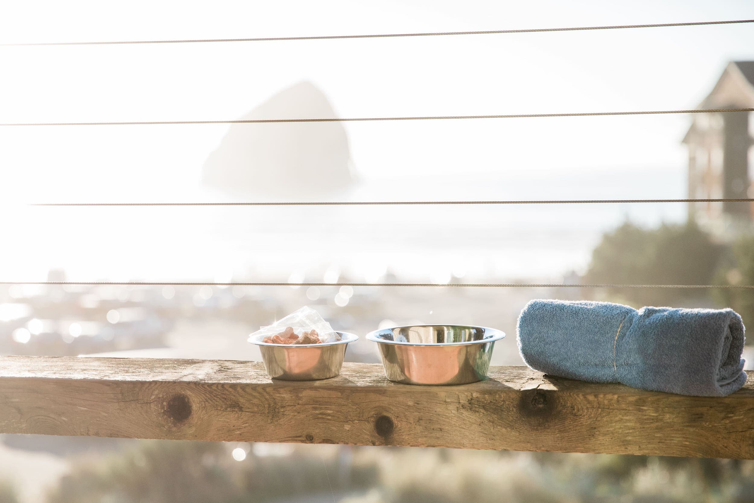 Dog friendly accommodations at the Inn at Cape Kiwanda