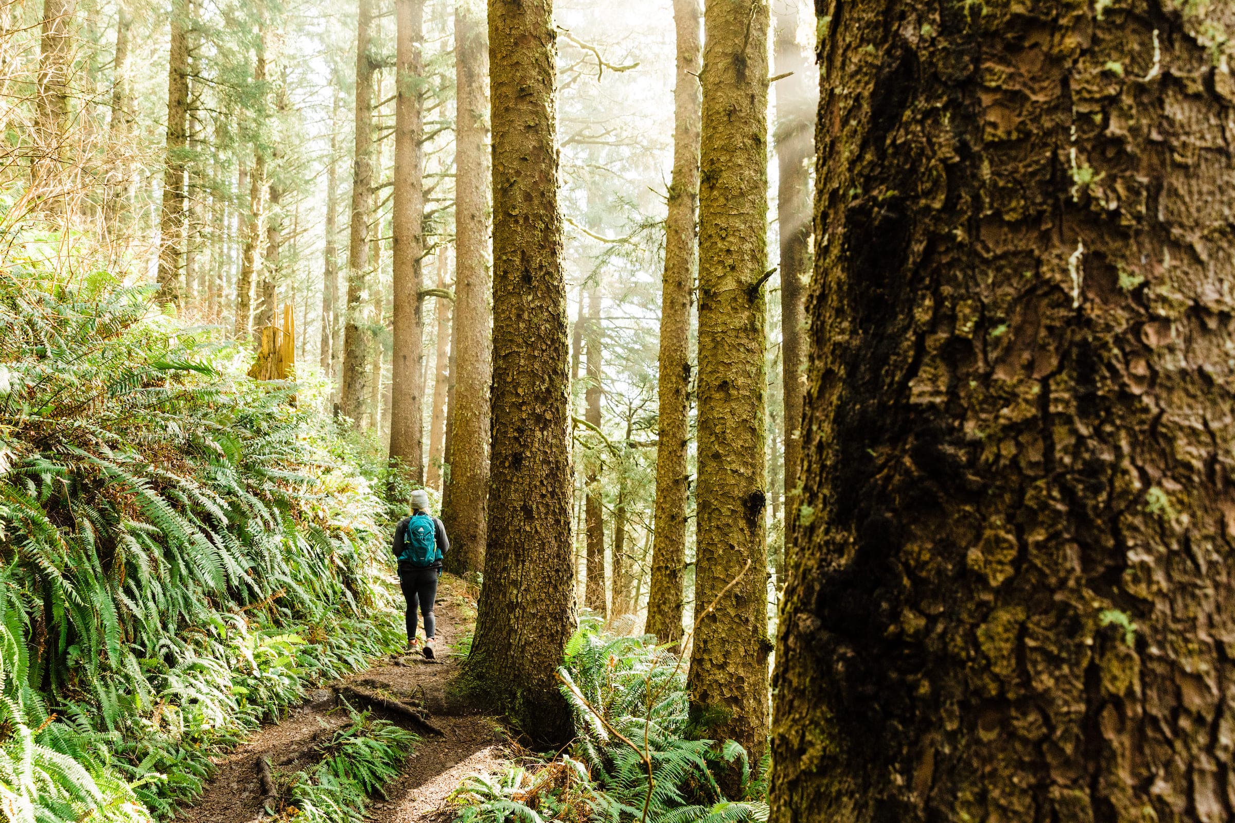 A woman walking the Pacific City Pathway trails near Inn at Cape Kiwanda