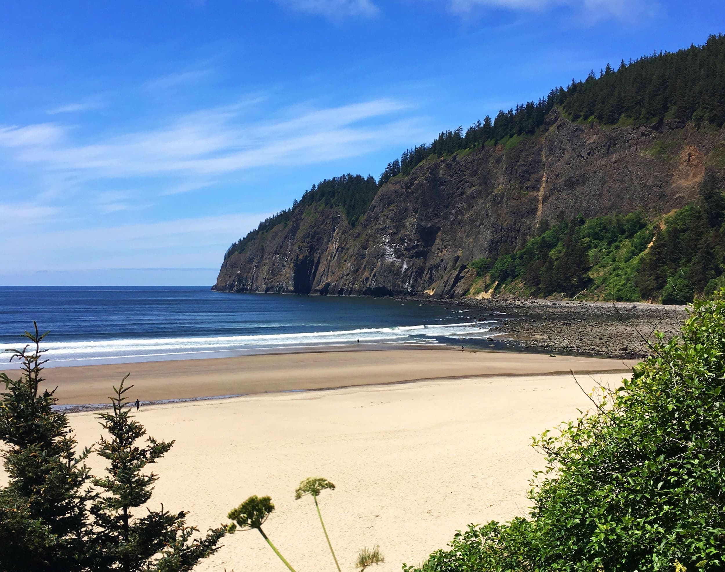 A view of the beach from South Cape Lookout Trail