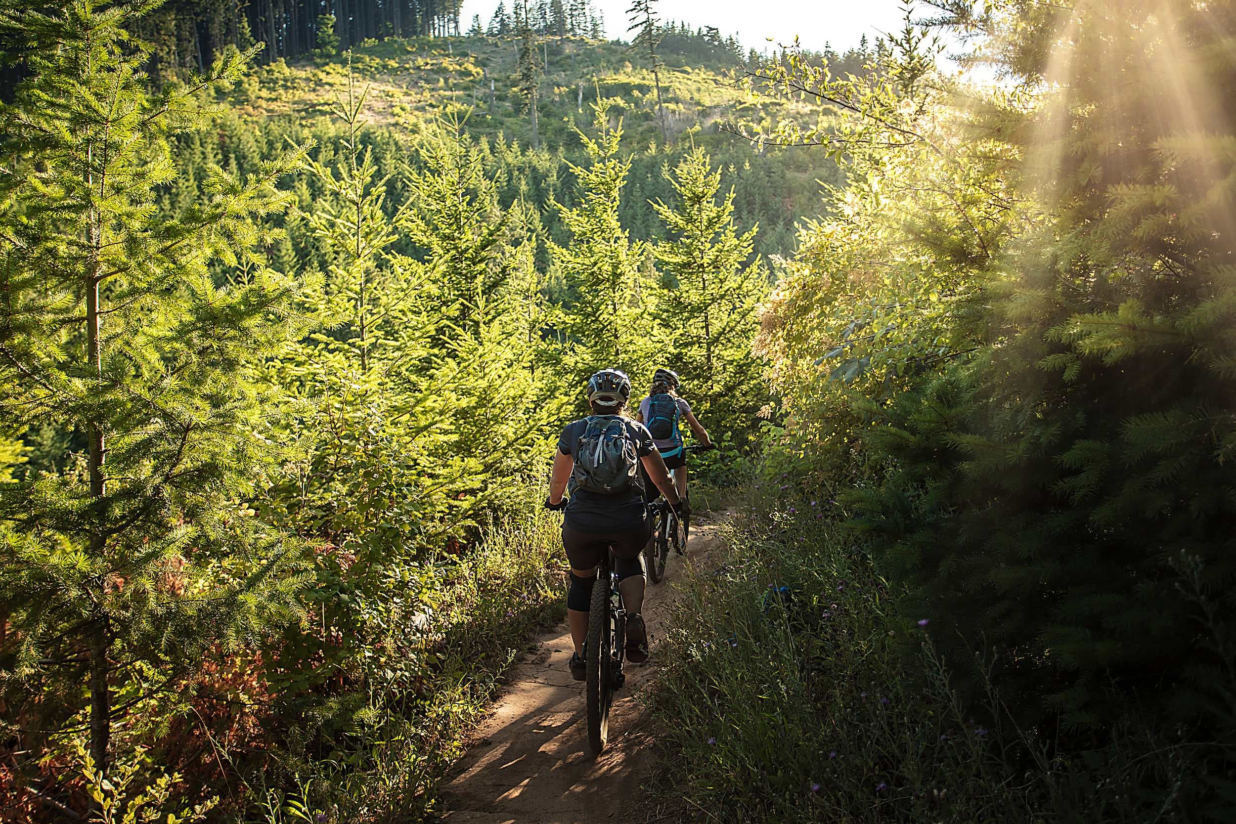 Cyclists mountain biking through evergreen forest trails near the Inn at Cape Kiwanda on the Oregon Coast