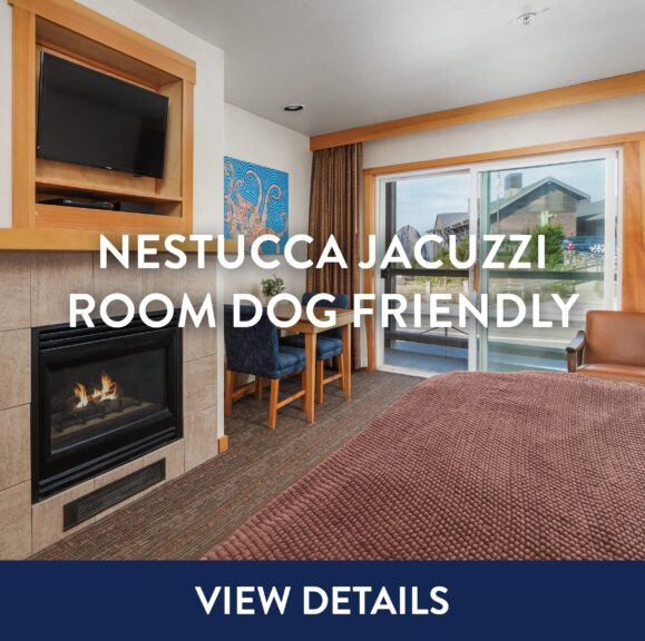 Nestucca Jacuzzi Room Dog Friendly View Details