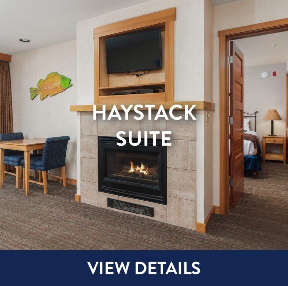 Haystack Suite View Details