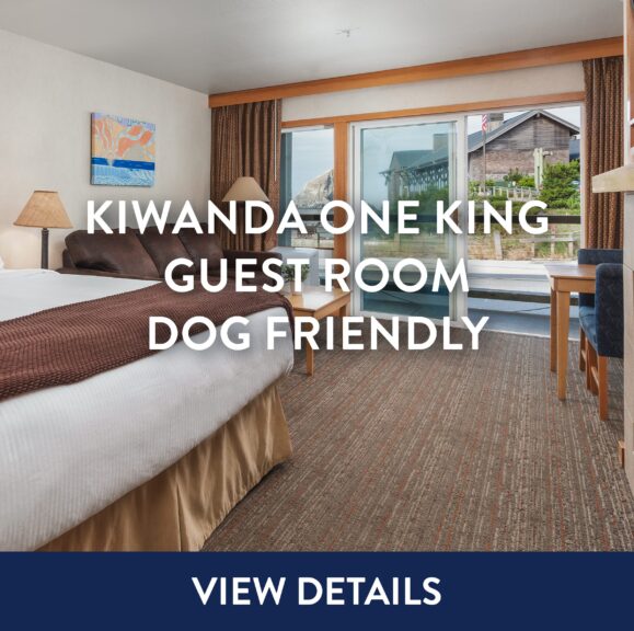 Kiwanda One King Guest Room Dog Friendly View Details