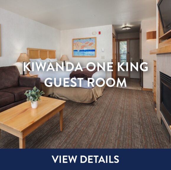 Kiwanda One King Guest Room View Details