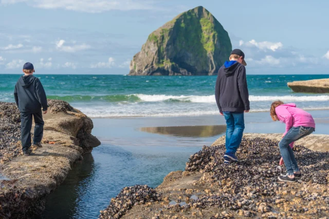 🌊 Discover the hidden world of Cape Kiwanda’s tide pools. From sea stars to mussels, these rocky shores are full of life, with each shift of the tide revealing something new. 🦀🐚
-
#innatcapekiwanda #pacificcityoregon #oregoncoast #springbreak #tidepoolingadventures #tidepools #coastalwonders